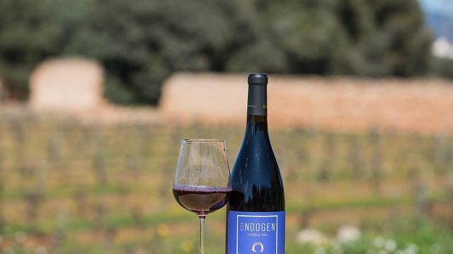 Degustazione e tour di vini premium alla Finca Mas Perdut