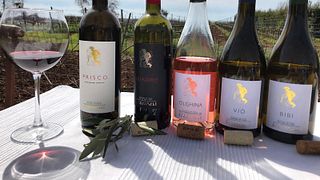 Lazio’s Organic Wine & Farm Feast at Etruscaia