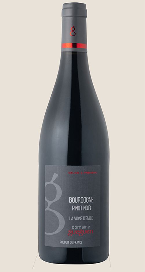Bourgogne Pinot Noir La Vigne Demile