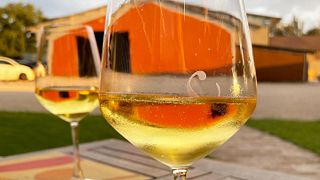 Umbria Wine & Gourmet Tasting at Carini Winery