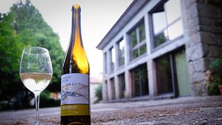 Vinho Verde Tasting at Quinta De Lourosa