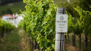 Tour privato esclusivo del vino - Su misura per i tuoi gusti e desideri - Peterc Vineyard Estate