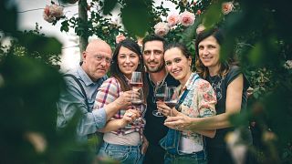Dégustation de vins et visite à la Cantina Terracruda