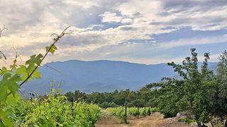 Colline Del Vento