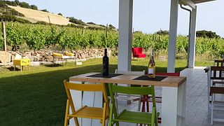 Enjoy Sardinia’s Old Vines with Artisanal Bites