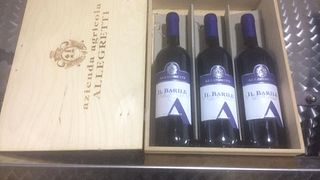 Degustação de vinhos e tour em Allegretti