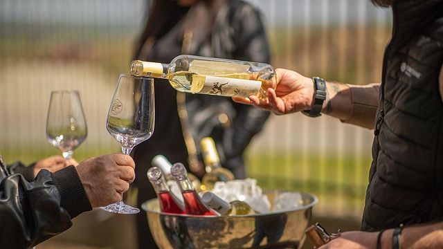 Degustazione e tour di vini premium a Crama Histria