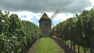 50 Jahre Loupiac, eine sensorische Reise in 5 Weinen (von 2000 bis 1960)