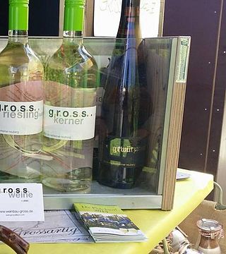Wine Tasting and Tour at Weinbau Gross