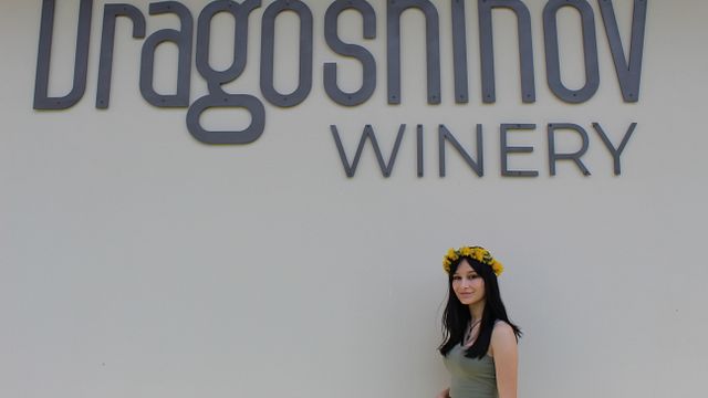 Njut av 5 viner med lokal mat på Dragoshinov Winery
