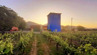 Kalogris Organic Winery