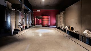 Weinprobe und Tour im Tenuta Garetto