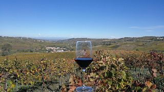 Enjoy a Lombardy Wine Brunch with Local Dishes