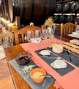 Private Cheese, Wine & Tiles: A Hands-On Lisbon Experience
