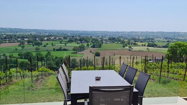 Degustazione di vini e tour al Vin Du Pays De Herve
