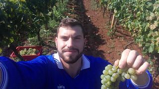 Istria’s One Hill Wine & Olive Delight Tour