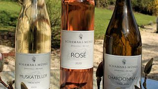 Degustazione di vini e tour presso la cantina Schamari Mühle