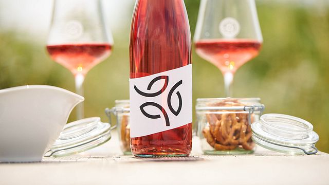 Cata de vinos al aire libre o en interiores | Cata de vinos en Weingut Gebert