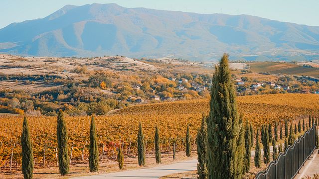 Rupel Winery