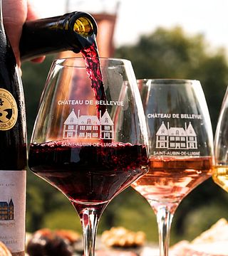 Degustação de vinhos no Château de Bellevue com uma tábua de frios e queijos.