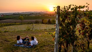 WINE TASTING ON THE TERRACE WITH A PANORAMIC VIEW OF THE VINEYARDS