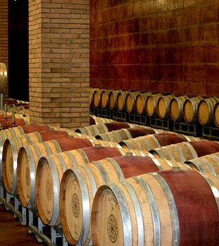 Degustação de vinhos e tour na Tenuta Vitalonga