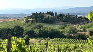 Unwind with Tuscan Wines on a Cozy Vineyard Tour