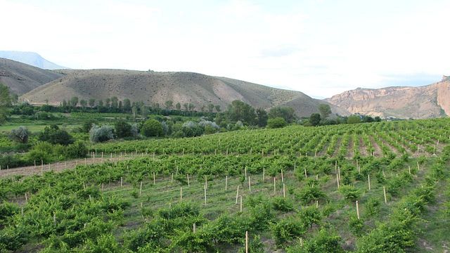 Tour to Vayots Dzor Noravank Khor Virap Areni Wine Learn a craft Armenia Hiking