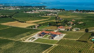 Weinprobe und Tour im Le Morette Di Valerio Zenato