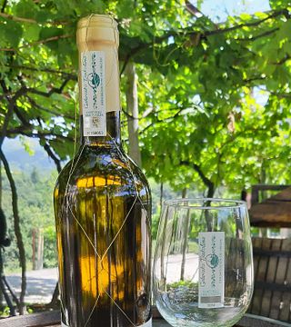 Wine Tasting and Tour at Txakoli Basa Lore