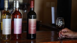 Degustazione di vini a Chateau Cana
