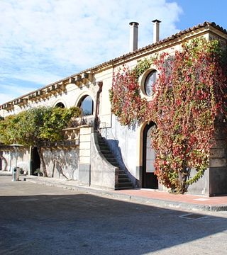 Cata de vinos y visita guiada al Tenute Mannino di Plachi | sciarelle