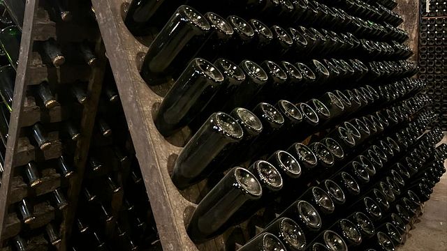 Tour de vinos gourmet: 2 bodegas y almuerzo 🍷