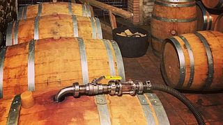 Cata y visita de vinos en Celler Joan Simó