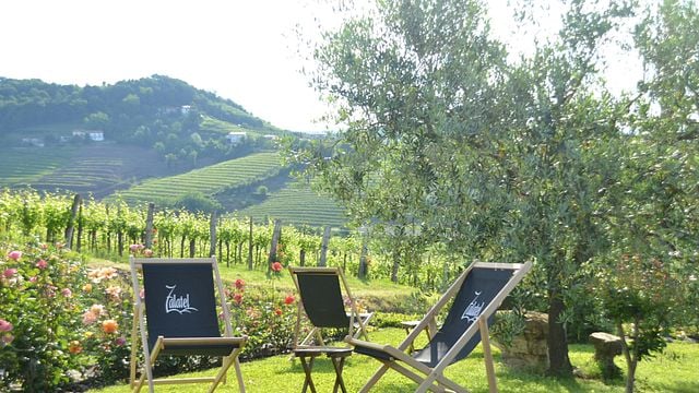 Dégustation de vins et visite de cave de Zalatel à Goriška Brda