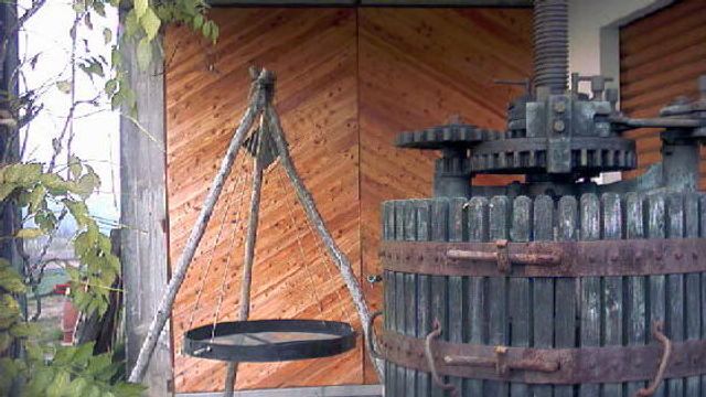 Dégustation de vins et visite à l'Azienda Agricola Criolin de Claudio Canavero