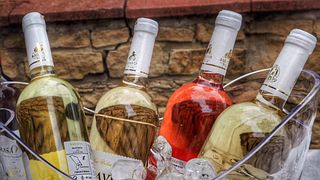 Weinprobe und Führung im Weingut Basavin