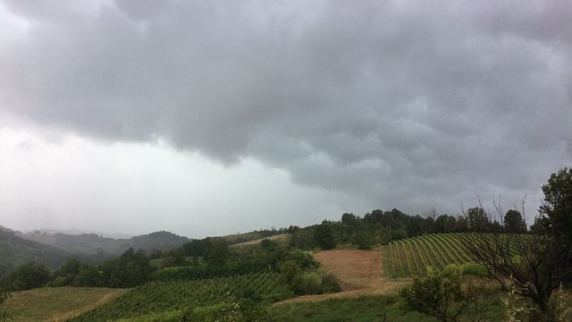 La Casaccia Winery