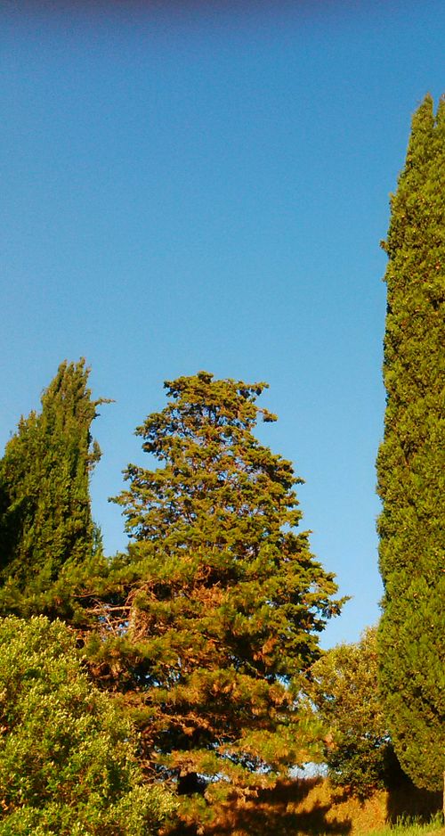 Gratena – Gratena