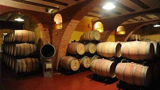 Degustazione e visita popolare alle Bodegas Barón d'Alba