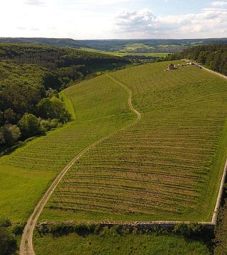Dégustation de vins populaire au Weingut Lange - Schloss Saaleck
