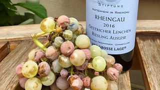 Guidad vinprovning på Weingut Georg Müller Stiftung