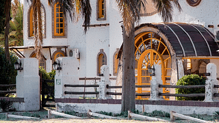 Degustação de vinhos orgânicos e tour na vinícola Haarth