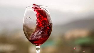 Weinprobe und Tour im Marani von Ucha Macharashvili