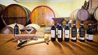 Wine Tasting and Tour at Fratelli Pavia Winery