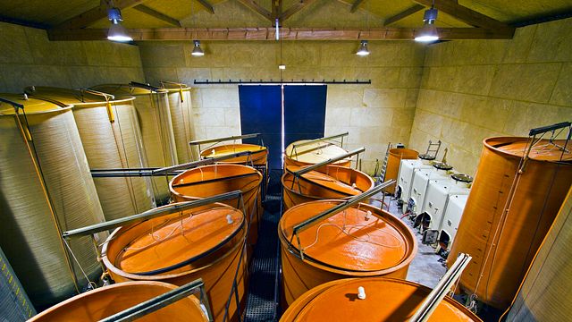 Dégustation et visite des vins du Clos de l'Amandaie