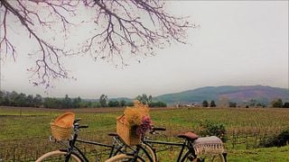 Night Stay at Terra Rosa Country House and Vineyards