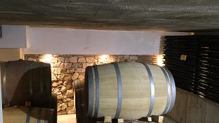 Experimenta los vinos del Priorat en Celler Crivellé i Valls y degusta 4 variedades