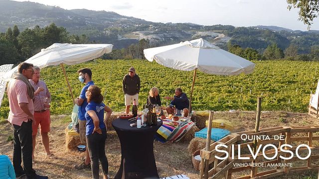 Weinprobe und Tour im Quinta De Silvoso