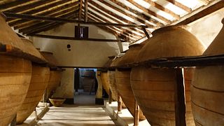 Visita a una bodega histórica y cata de vinos | Bodega Del Nero